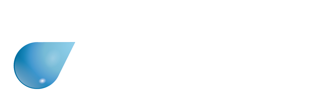 Hague Logo footer