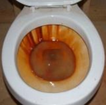 Iron in toilet bowl