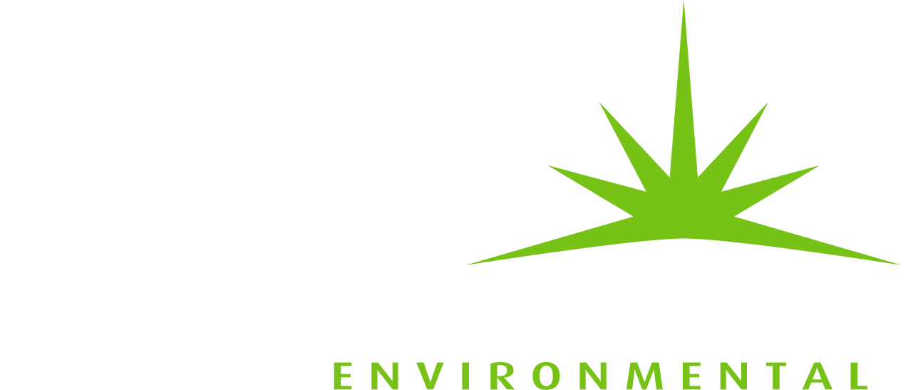 luminor footer logo